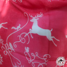 Load image into Gallery viewer, Kaschmir Schal &quot;Jarayo&quot;( जरायो)