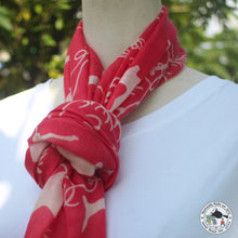 Load image into Gallery viewer, Kaschmir Schal &quot;Jarayo&quot;( जरायो)