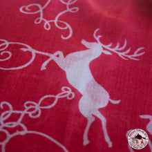 Load image into Gallery viewer, Kaschmir Schal &quot;Jarayo&quot;( जरायो)