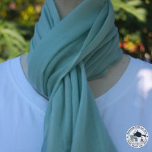 Load image into Gallery viewer, Kaschmir Schal "Chiso" (चिसो)