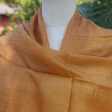Load image into Gallery viewer, Kaschmir Schal "Bharamand" (भरमद)