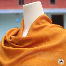 Load image into Gallery viewer, Kaschmir Schal &quot;Mewa&quot; ( मेवा )