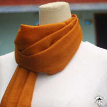 Load image into Gallery viewer, Kaschmir Schal &quot;Mewa&quot; ( मेवा )