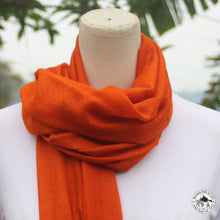 Load image into Gallery viewer, Kaschmir Schal  &quot;Aainselu&quot; ( आइन्सेलु )