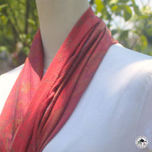 Load image into Gallery viewer, Kaschmir Schal  &quot; Aerawat&quot; ( ऐरावत )