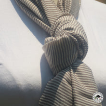 Load image into Gallery viewer, Kaschmir Schal  &quot;Bistrit&quot; ( बिस्तृत )