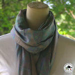 Diabild