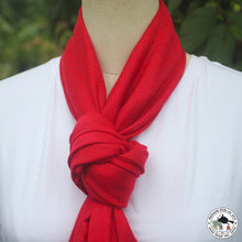 Load image into Gallery viewer, Pashmina Schal &quot; larkya&quot; ( लार्क्य )