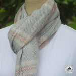 Diabild
