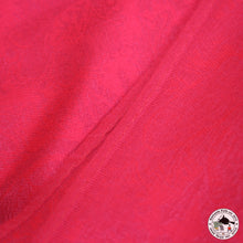 Load image into Gallery viewer, Pashmina Schal &quot; larkya&quot; ( लार्क्य )