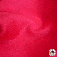 Load image into Gallery viewer, Pashmina Schal &quot; larkya&quot; ( लार्क्य )