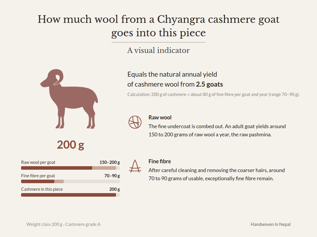 Graphic: 200 g of cashmere – equals the natural annual yield of cashmere wool from 2.5 Chyangra goats