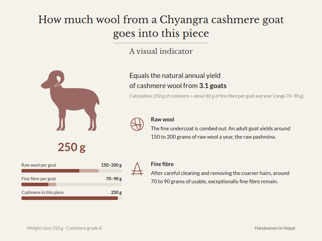 Graphic: 250 g of cashmere – equals the natural annual yield of cashmere wool from 3.1 Chyangra goats