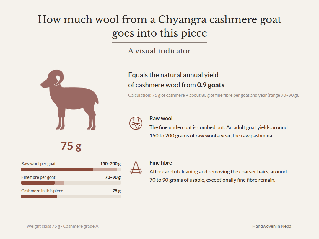 Graphic: 75 g of cashmere – equals the natural annual yield of cashmere wool from 0.9 Chyangra goats