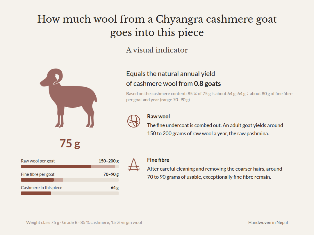 Graphic: 75 g, of which about 64 g cashmere – equals the natural annual yield of cashmere wool from 0.8 Chyangra goats