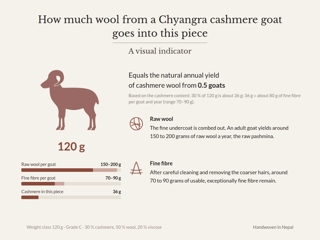 Graphic: 120 g, of which about 36 g cashmere – equals the natural annual yield of cashmere wool from 0.5 Chyangra goats