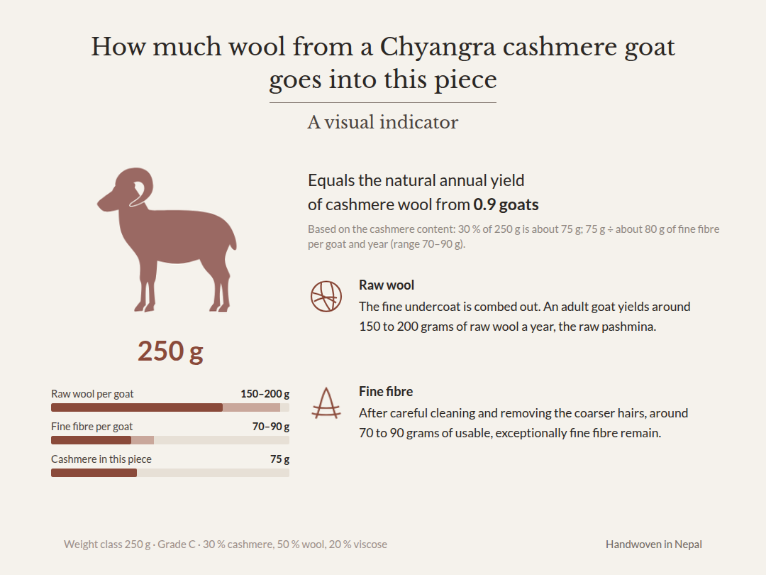 Graphic: 250 g, of which about 75 g cashmere – equals the natural annual yield of cashmere wool from 0.9 Chyangra goats