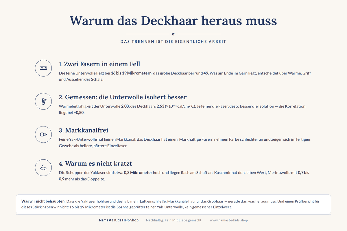 Infografik: Warum das Deckhaar heraus muss — Faserdurchmesser, Wärmeleitfähigkeit, Markkanal, Schuppenhöhe